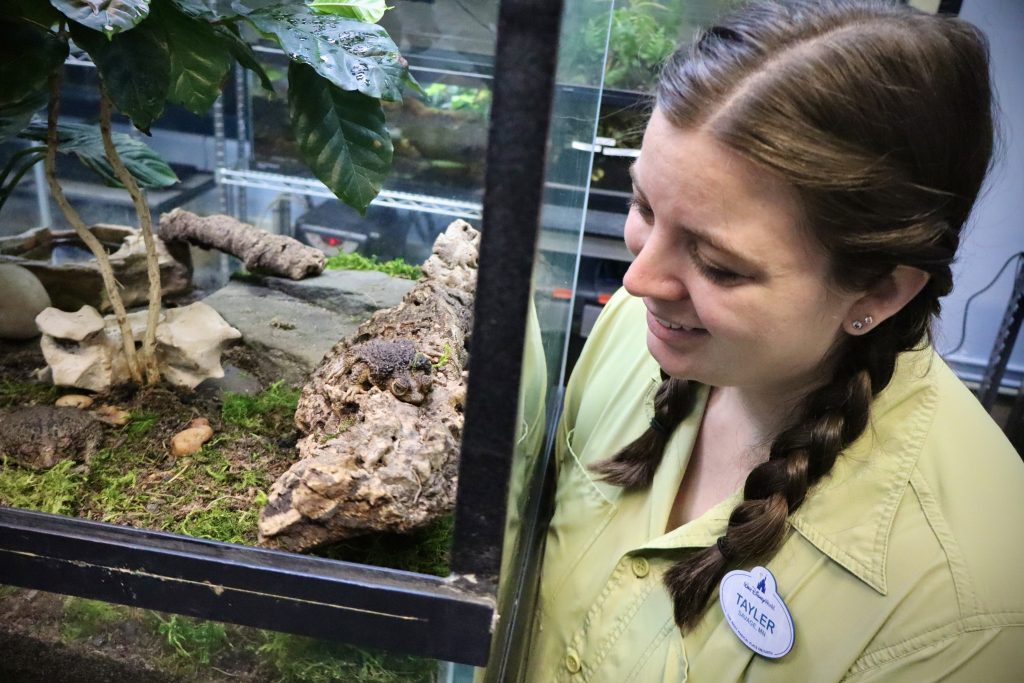 Disney cast member Taylor smiles at toad