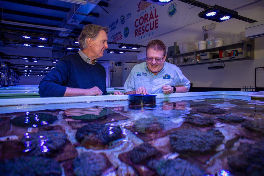 Wildlife experts at the Florida Coral Rescue Center