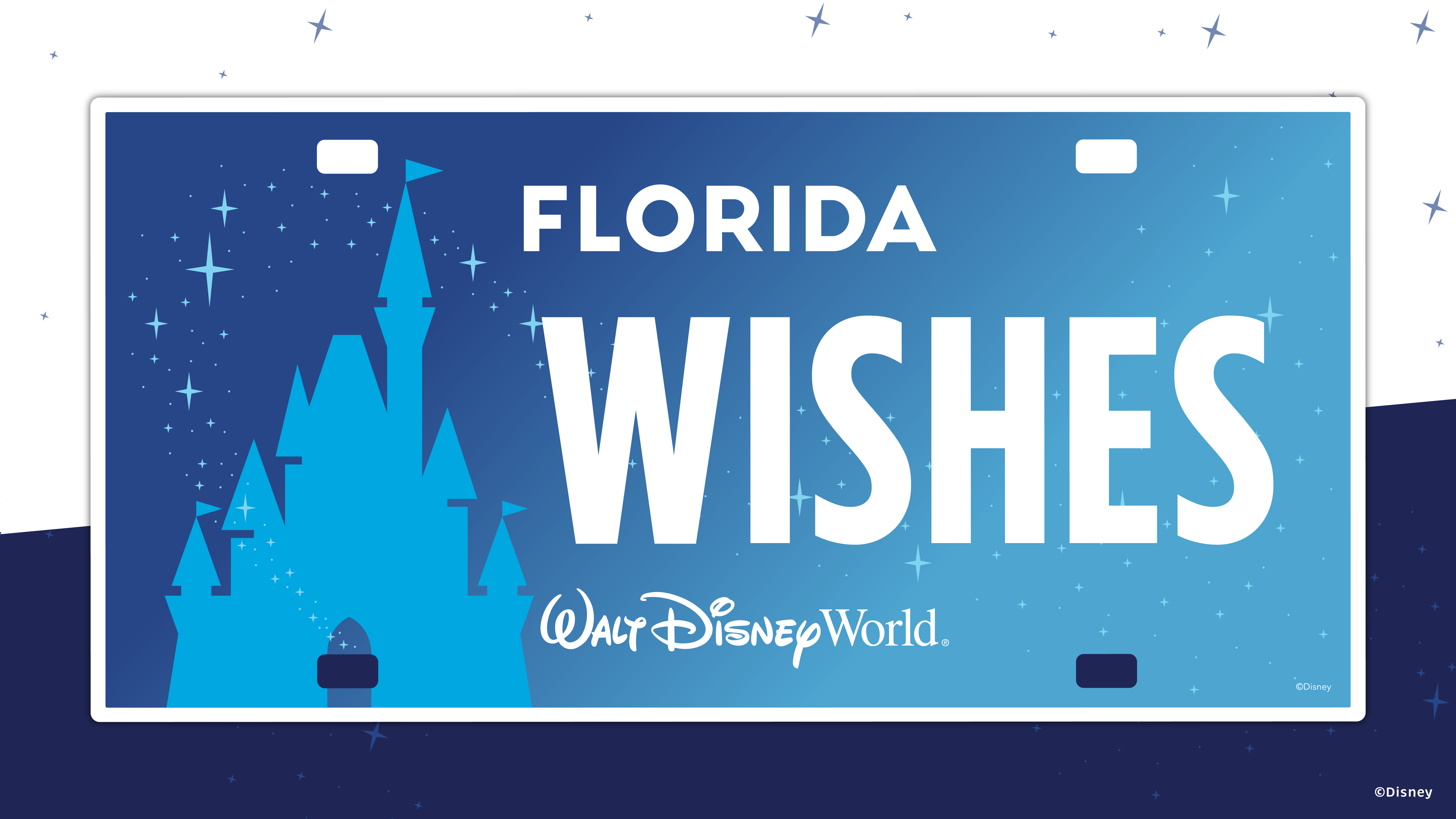 Florida Wishes license plate