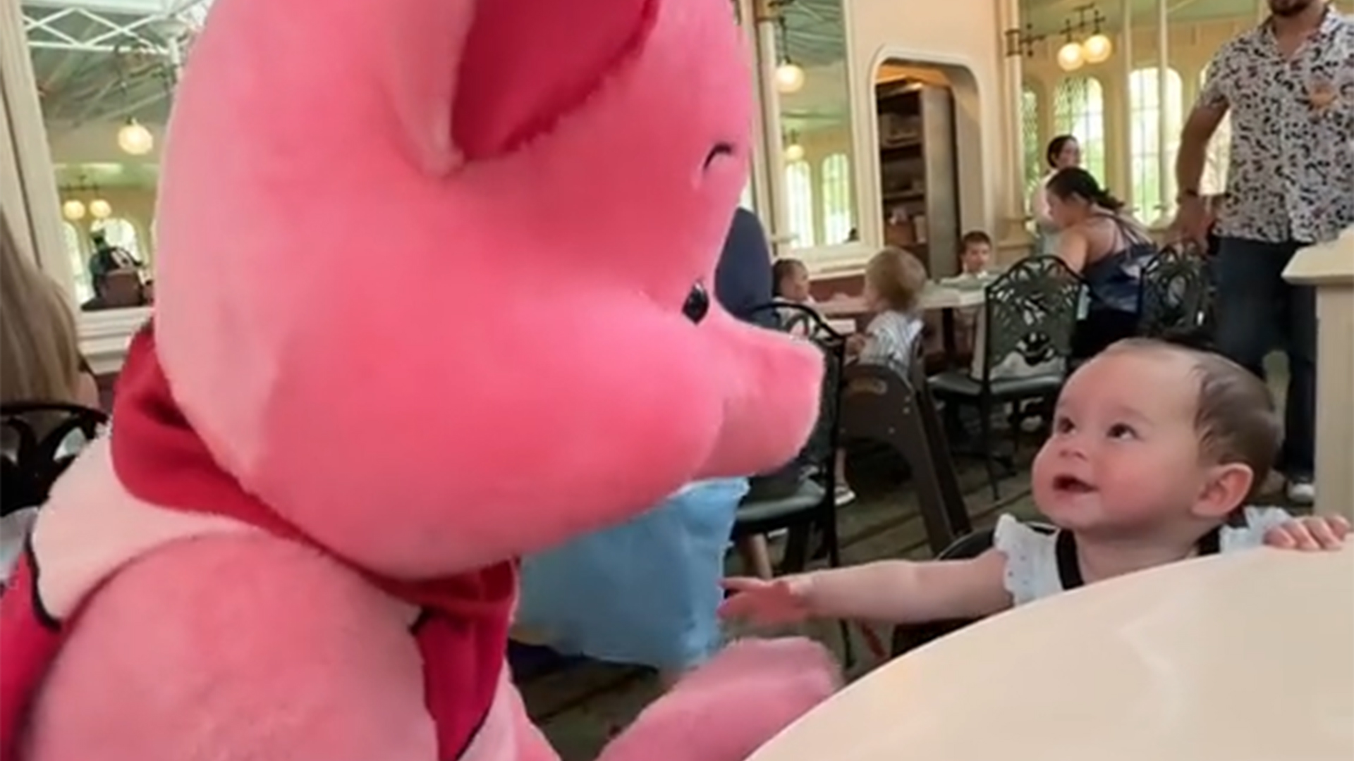A toddler looks at Piglet with awe