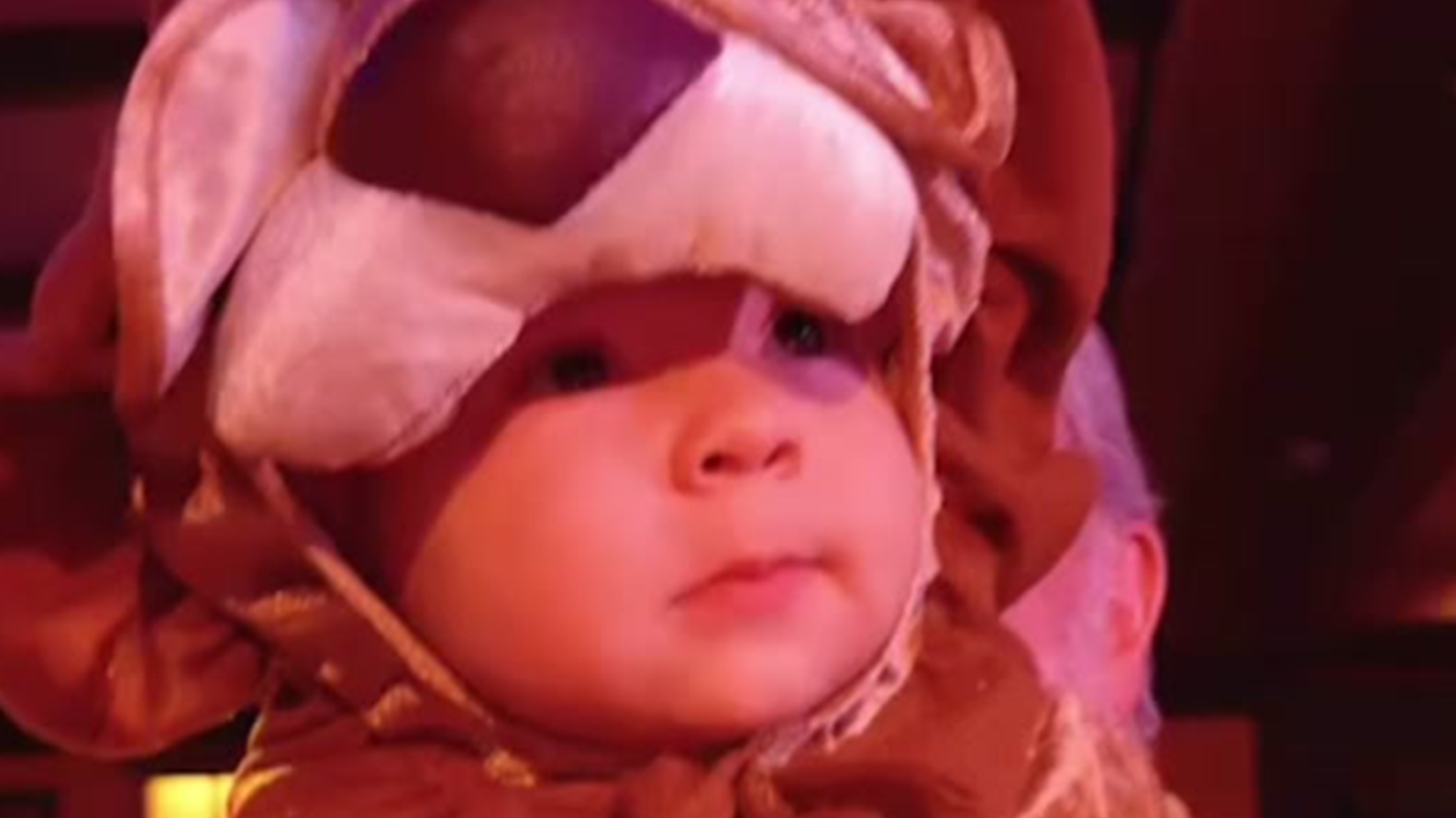 A toddler dressed as a lion cub is raised in the air
