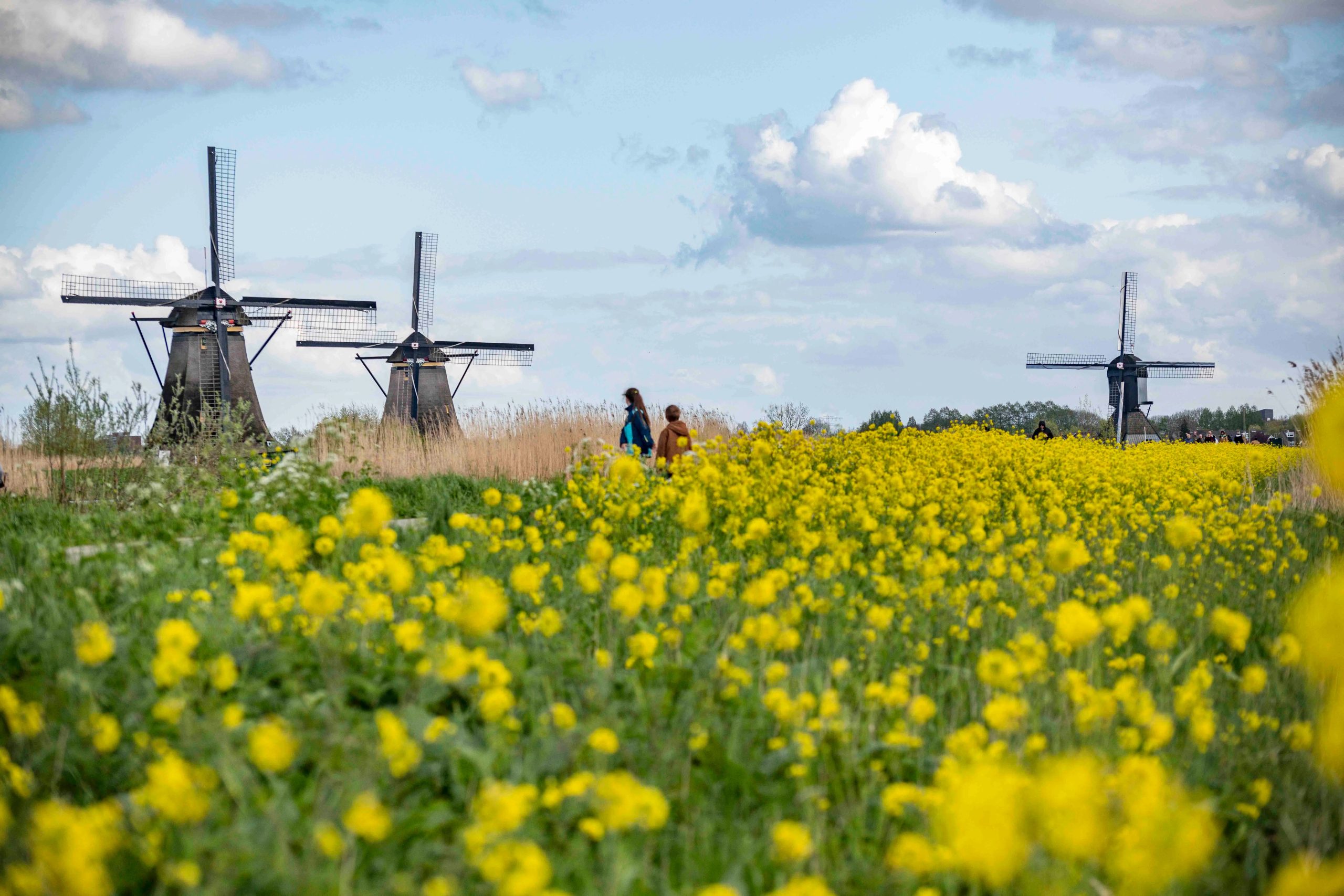 Adventures by Disney, Holland and Belgium River Cruise – Kinderdijk