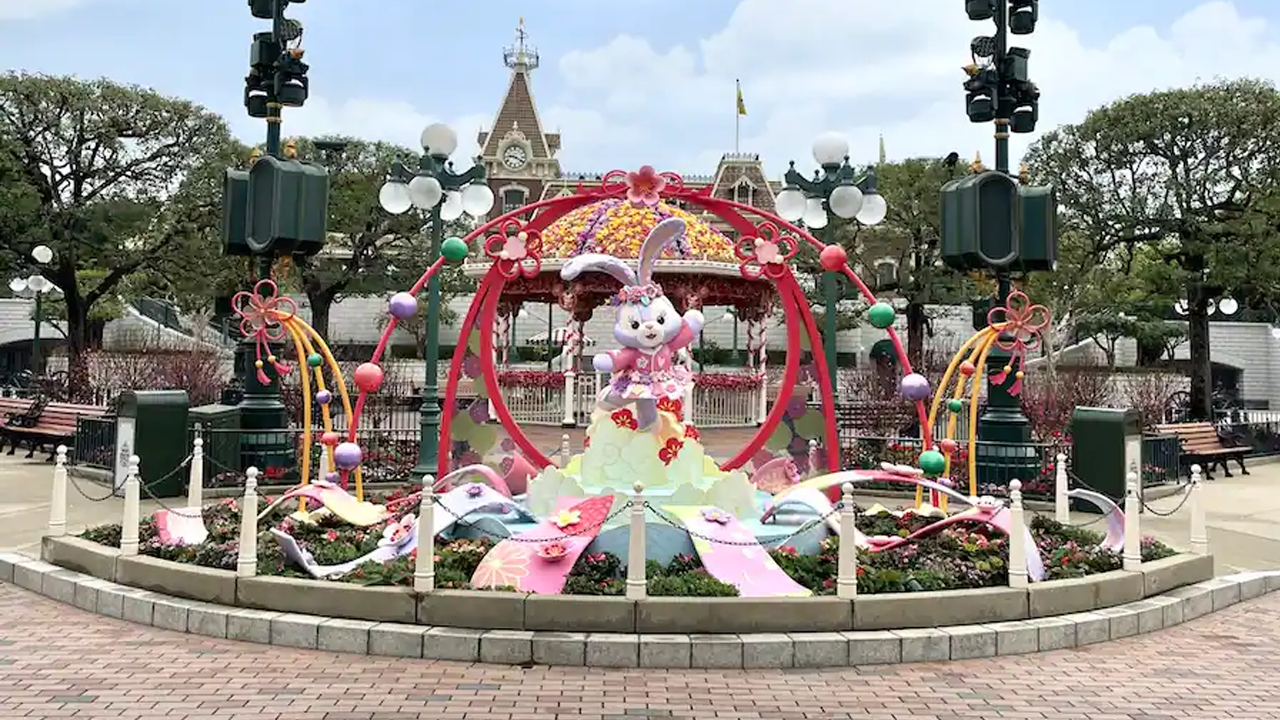 Stella Lou Display