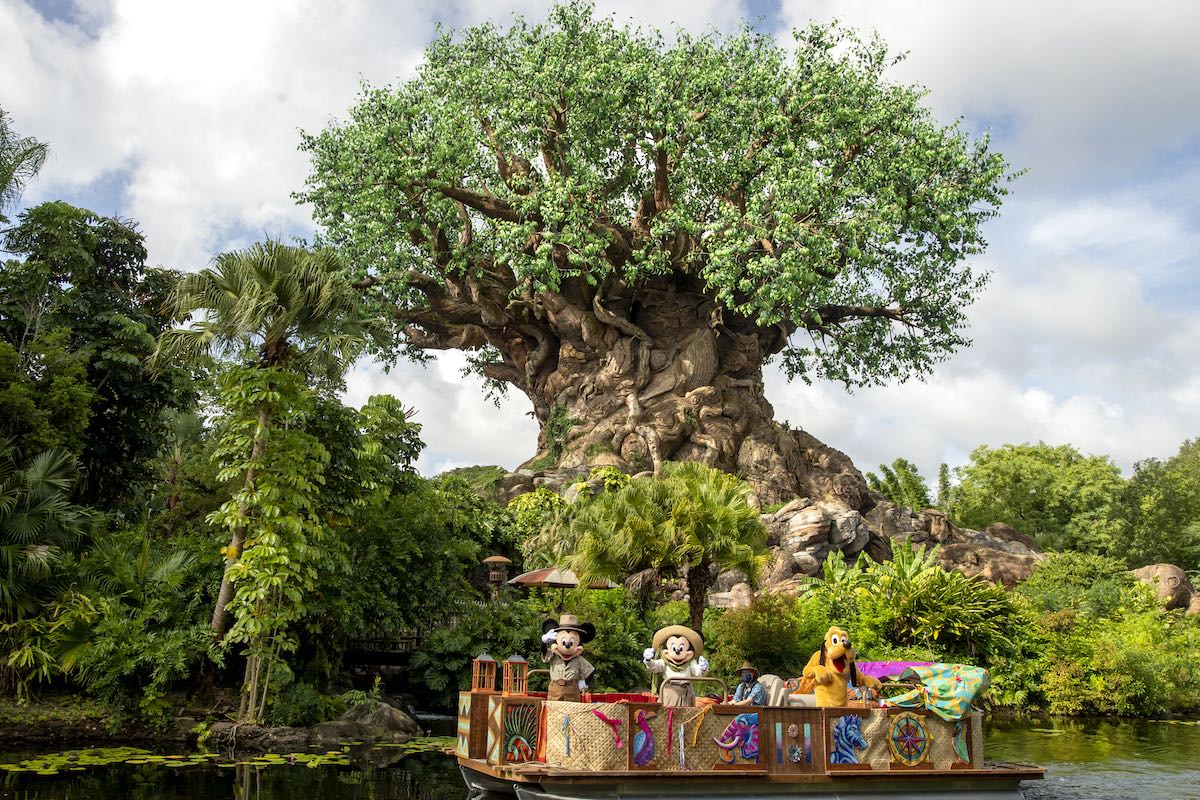 The Tree of Life at Animal Kingdom Park