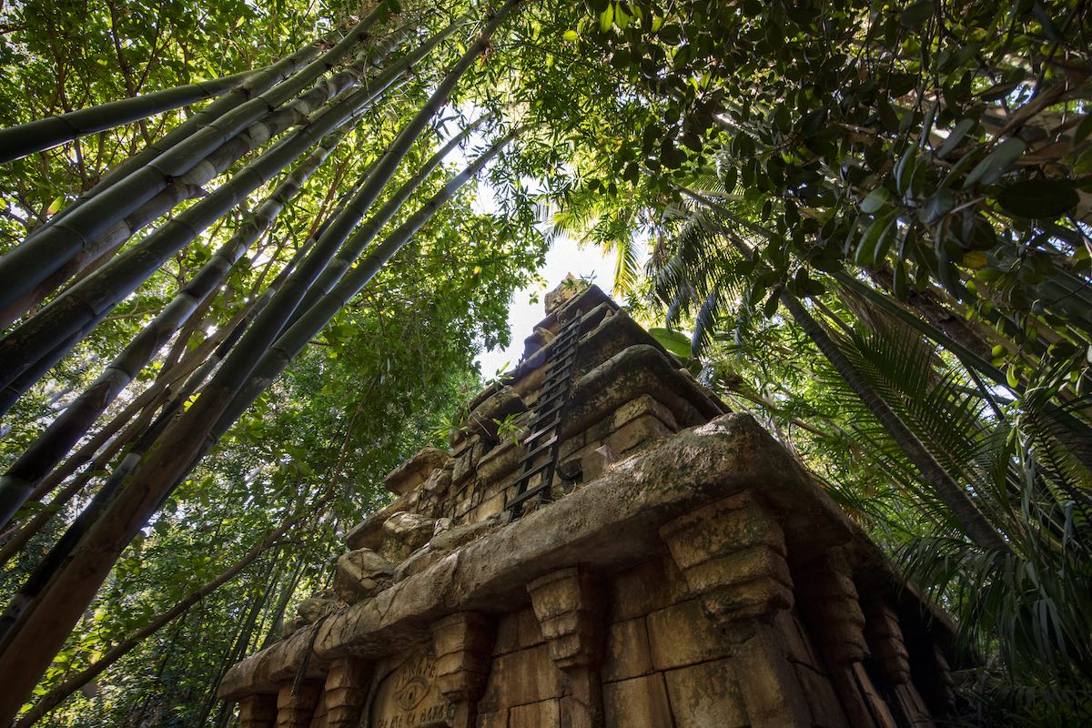 Trees surrounding the Temple of the Forbidden Eye from Indiana Jones Adventure