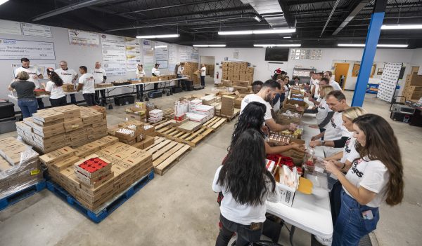 disney volunteers