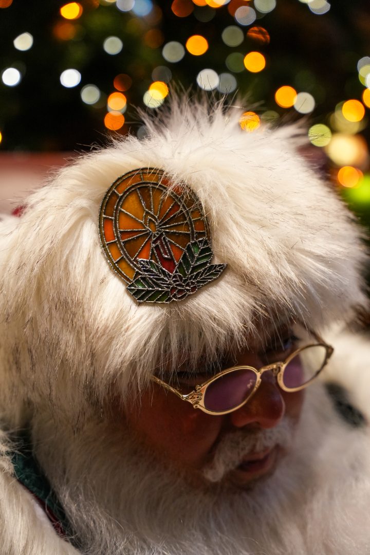 Santa Claus&rsquo; hat&nbsp;adorned&nbsp;with&nbsp;the&nbsp;brooch.